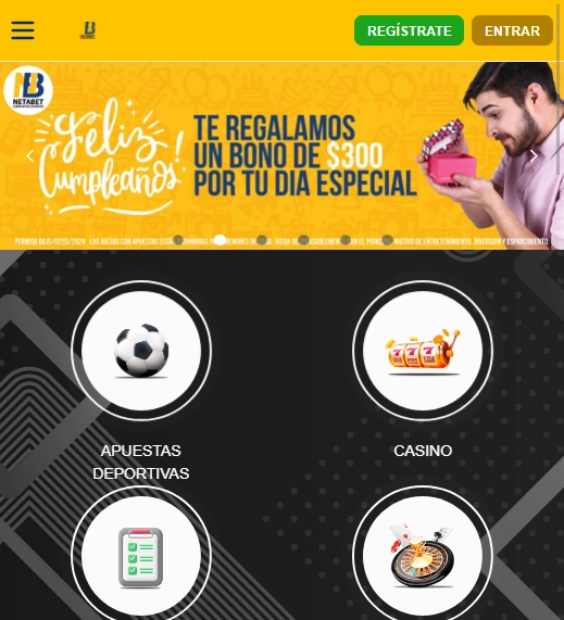 Netabet Casino